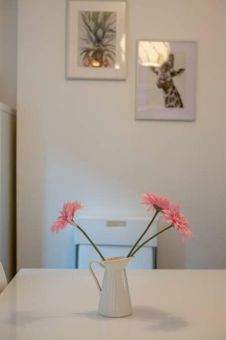 Galway City Cottage Exterior foto